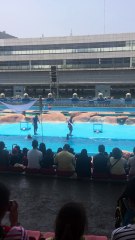 seal show at manila ocean park