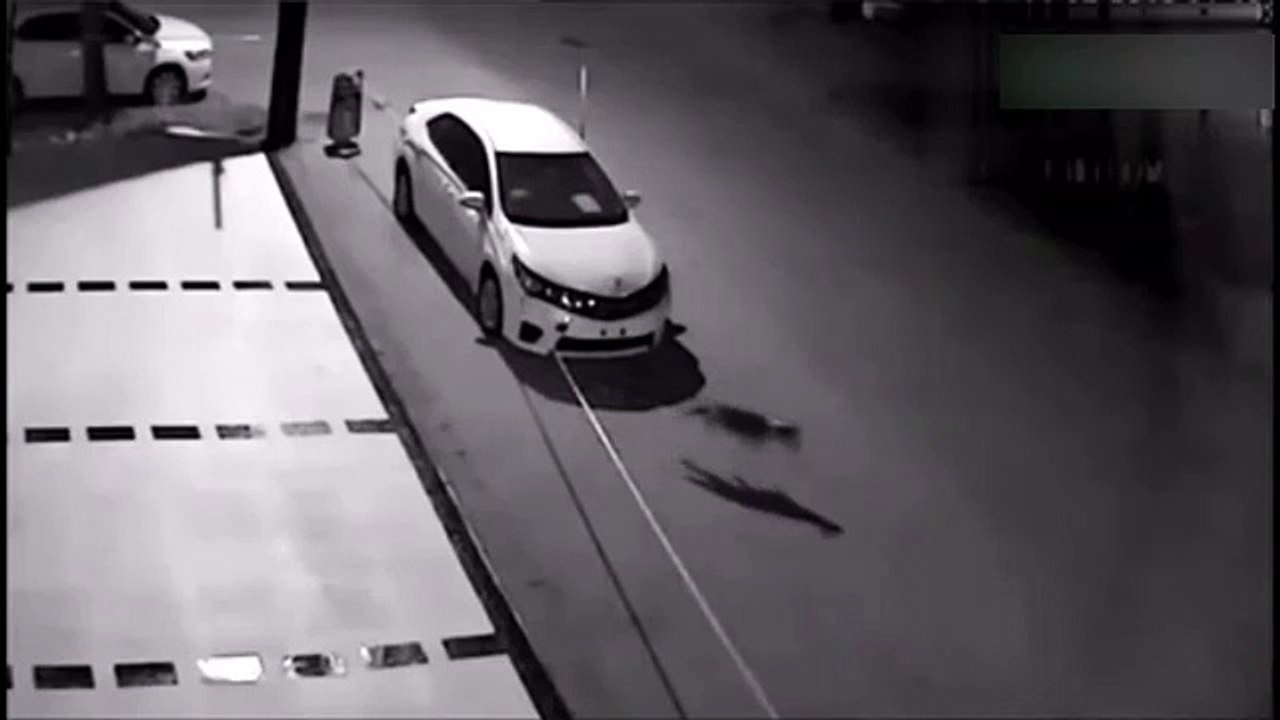 I can't believe dogs done this thing! Watch