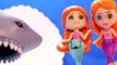 Splashlings Mermaids RESCUE SHARK   6 and 12 Pack Toy Opening Video For Kids-6sMvd4_H
