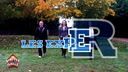 "4 pattes pour une famille", la nouvelle émission d'Elodie Gossuin sur Gulli