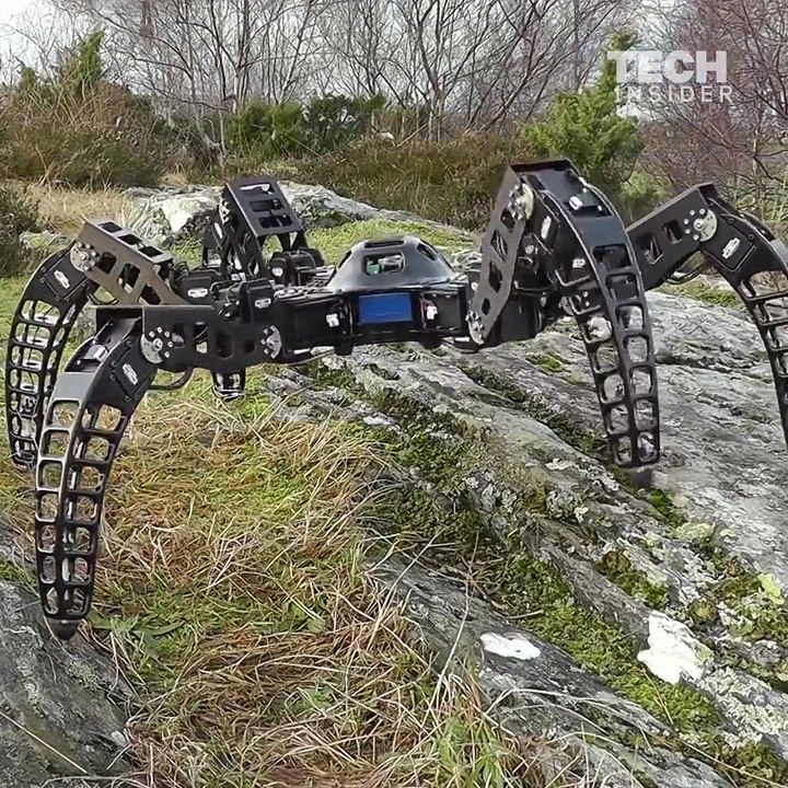 One man designed a tarantula robot