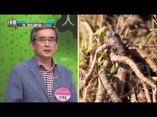 기관지 질환 잡는 도라지 [내 몸 사용 설명서] 71회 20151011