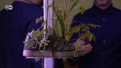 Venedik'te sıra dışı eserler