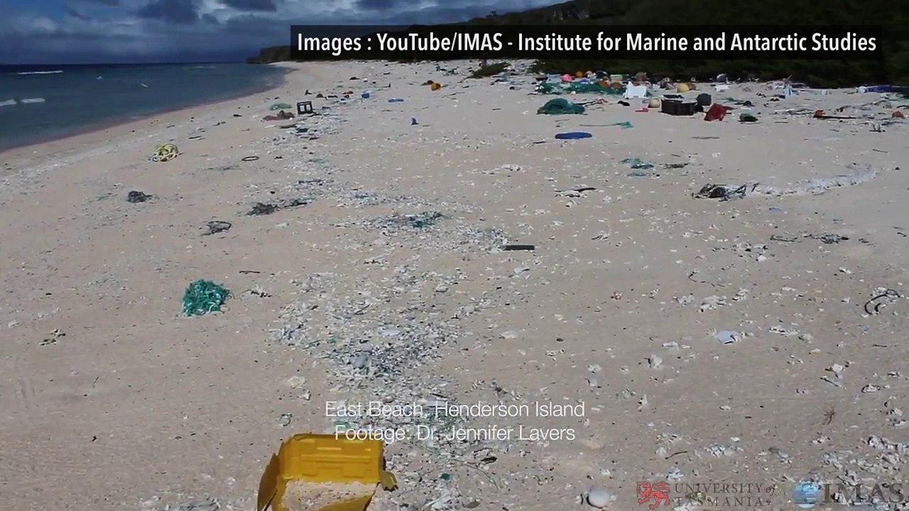 Bienvenue sur l'île Henderson, qui concentre la plus forte densité de plastiques au monde