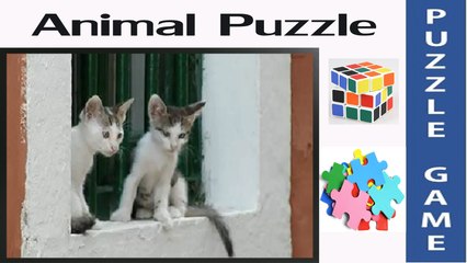 2 kitties | Amazing Puzzle Game & Jigsaw| for Little Kids