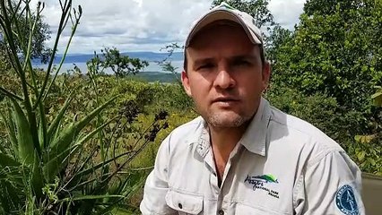 Le rhinocéros noir de l'Est est une espèce en grand danger