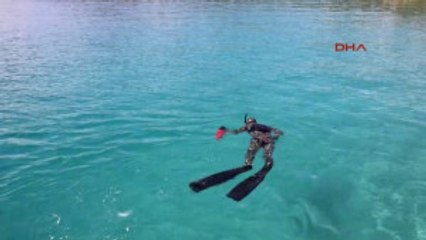 Bodrum Torba Koyu'nda Deniz Dibi Temizliği