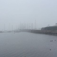 Early Morning Fog Envelops Melbourne for Second Day