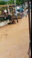 Des inondations extrêmes en Jamaïque