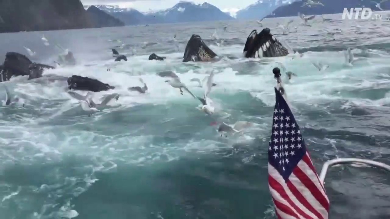 Ca bouillonne sous son bateau... Attention les yeux!