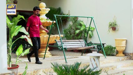 Watch Mein Mehru Hoon Episode - 199 - on Ary Digital in High Quality 16th May 2017