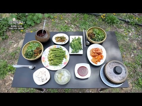 산에서 먹는 영양만점 산나물 밥상! [자연愛산다] 5회 20170516