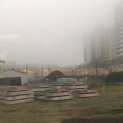 Brisbane Morning Commute Disrupted by Heavy Fog