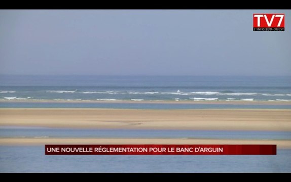 Bassin d'Arcachon : nouvelle réglementation pour le banc d'Arguin