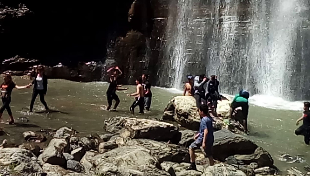 Hollywood Chewing-gum !