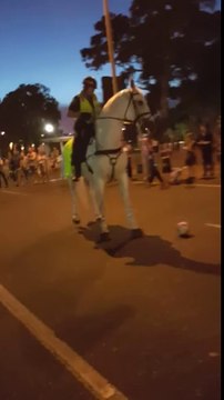 Ce cheval policier adore jouer au foot avec un enfant