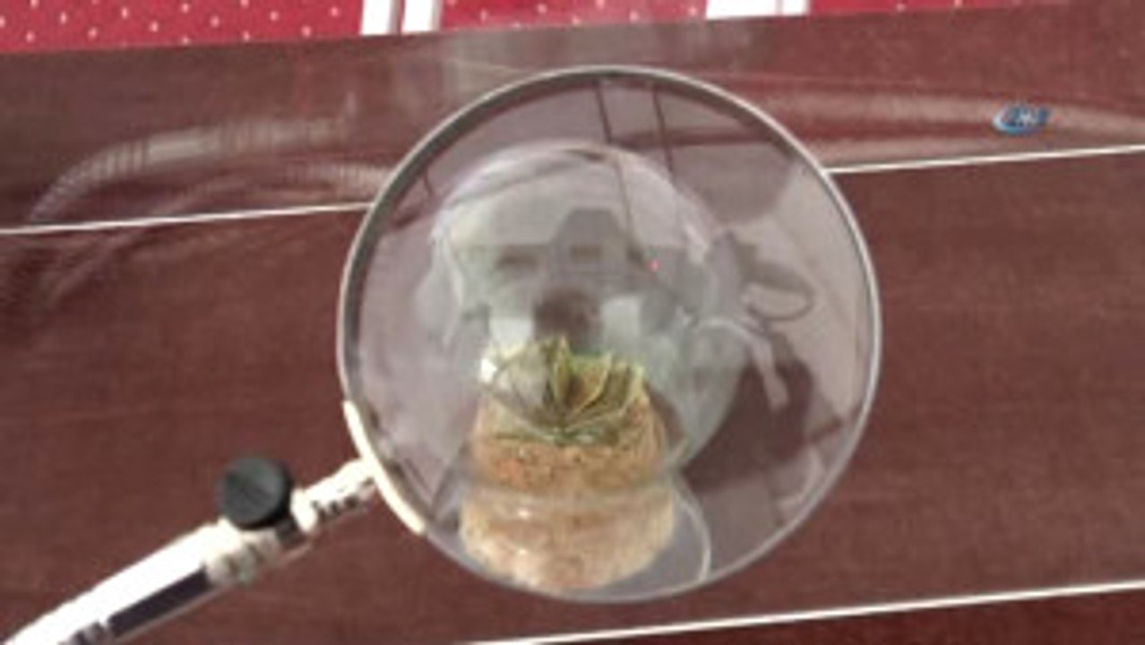 Dünyanın En Pahalı Tespihi ve En Küçük Kuran-ı Kerim'i Kayseri'de Sergilendi