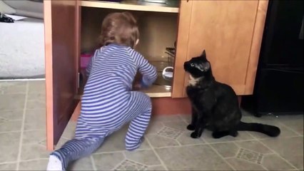 Quand ton chat enferme ton bébé dans un placard