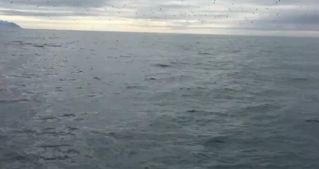 Un homme sent qu’il se passe quelque chose d’anormal autour de son bateau