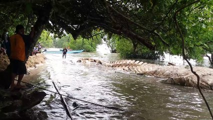 Mysterious Animal Carcass Floats Up from Grave