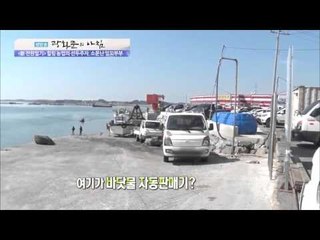 농업의 선두주자 소문난 잉꼬부부 [광화문의 아침] 84회 20151006