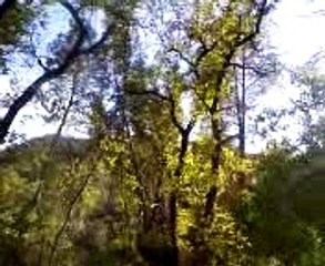 find a life long love, or whatever is your desired love life