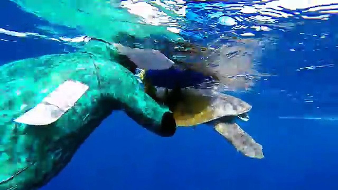 Ce que ces hommes ont trouvé en mer me fait froid dans le dos. Les images sont inimaginables.