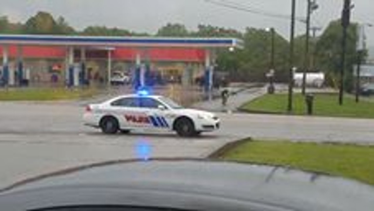 Rogue Bull Involved in Low-Speed Chase With Police in Cookeville, Tennessee