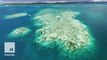 Biggest die-off of corals ever recorded on Great Barrier Reef