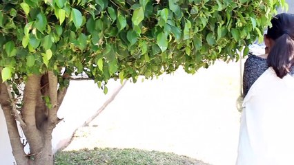 TIPOS DE MAMÁS - Gibby -)