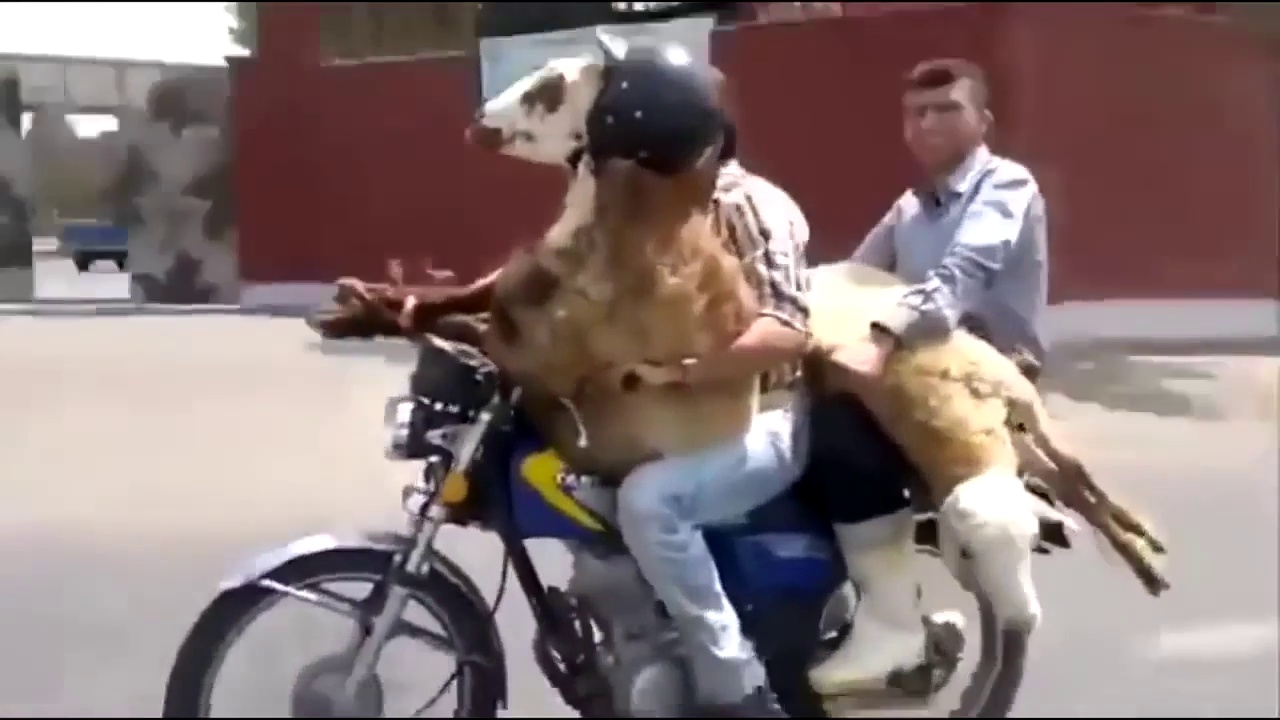 MOTORCYCLE FAIL & CRASH Compilation Funny Motorcycle Moments