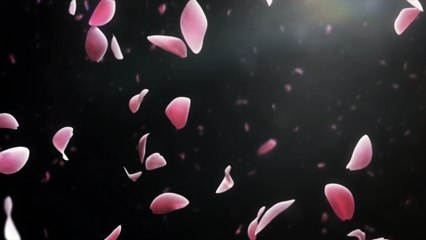 刀剣乱舞 Katsugeki/Touken Ranbu PV - HD