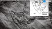 Dino-dinner - Footprints suggest T. rex hunted in packs-hP4yERAZlOo