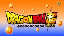 Dragon Ball Super Avance Episodio 27 Sub Español HD