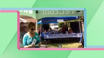 NuVet Labs Reviews - Bichon Bash 2014
