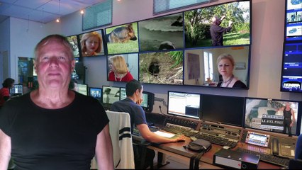 les deux oufs font de la télé