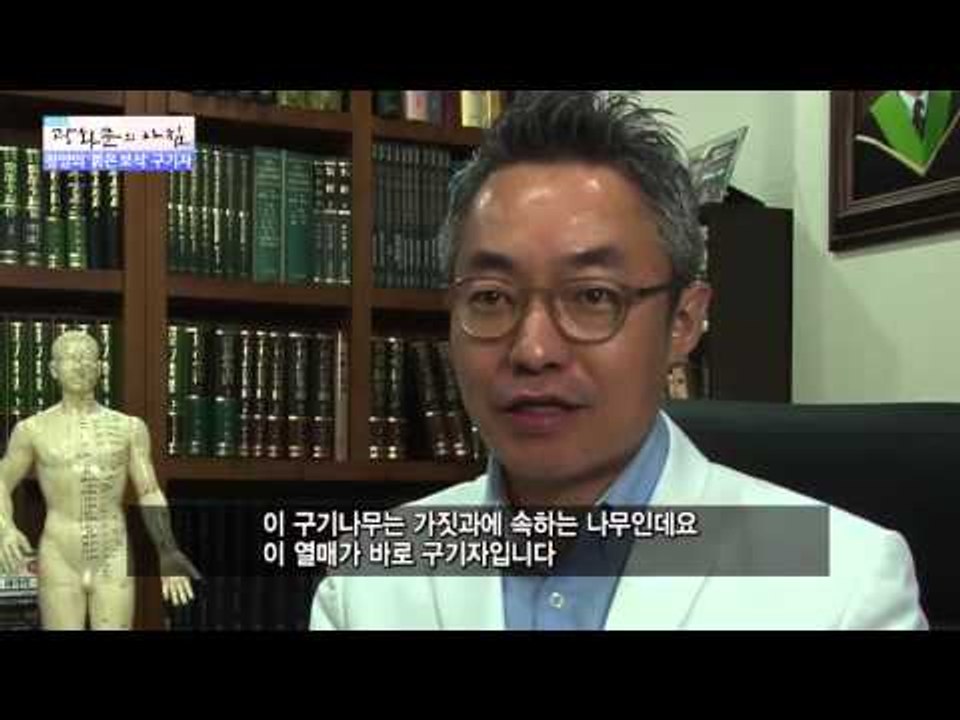청양의 '붉은 보석' 구기자 [광화문의 아침] 79회 20150925