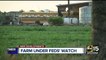 El Mirage farm accused of abuses against migrant workers