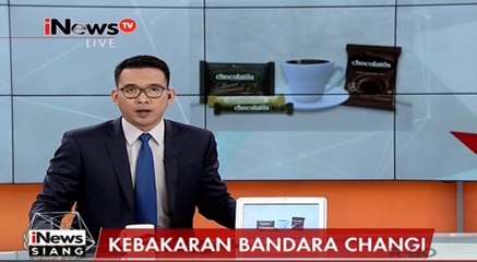 Usai Kebakaran, Aktivitas Penerbangan di Bandara Changi Kembali Normal