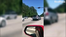 Quand un alligator traverse l'autoroute... OKAY