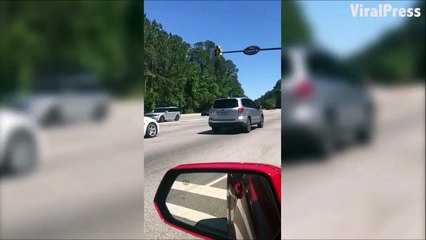 Quand un alligator traverse l'autoroute... OKAY