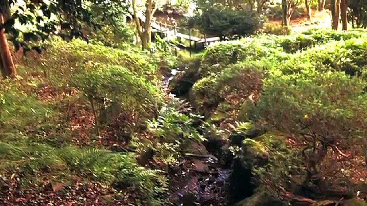 麻田義貴と散歩しよう (9)