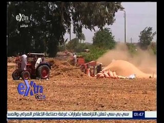 غرفة الأخبار | تقرير عن دعم الحكومة المصرية فدان القمح
