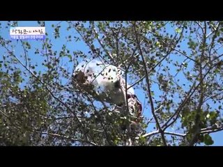 가을철, 말벌과의 전쟁 [광화문의 아침] 76회 20150922
