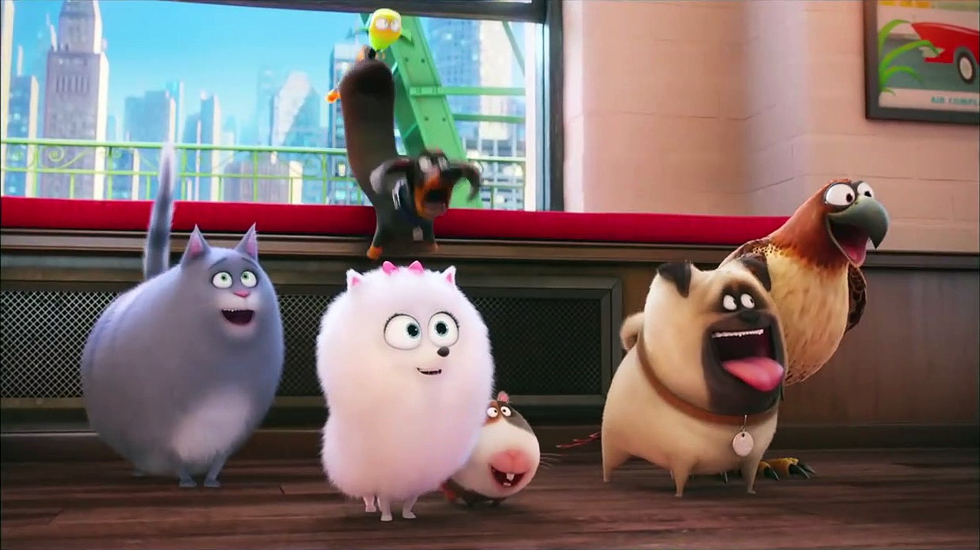 ⁣The Secret Life of Pets - Chris Melandri - Own it on Digi