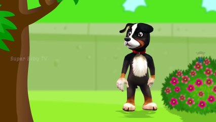 Funny Little Dog Injections in The Bottom - Learning Colors for Kids with 3D Dog_84