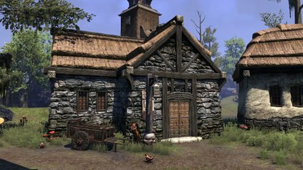 The Elder Scrolls Online: Morrowind - Warden