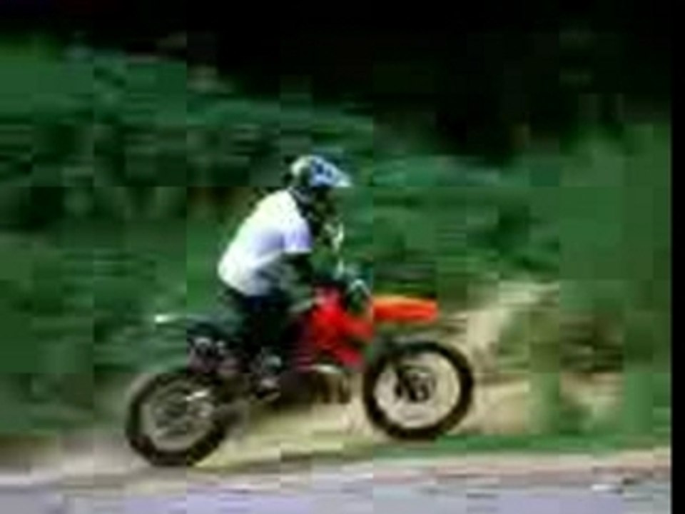 Le fou