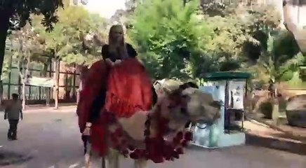 Foreign tourists are satisfied with Pakistan security