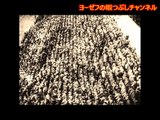 Reichsparteitag 1937 [プロパガンダ映画] ナチス党大会1937年